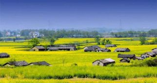 李培林：逆城鎮(zhèn)化應(yīng)成為鄉(xiāng)村振興的一種選擇